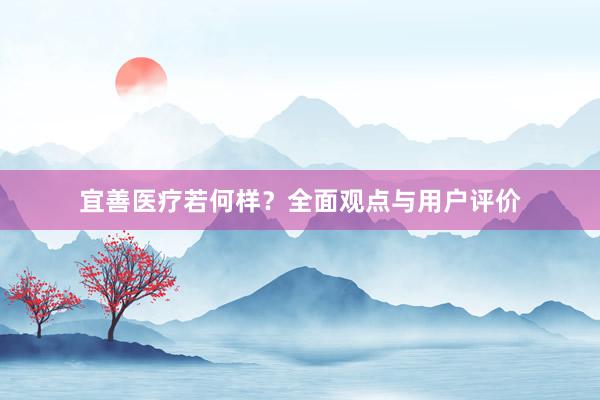 宜善医疗若何样？全面观点与用户评价
