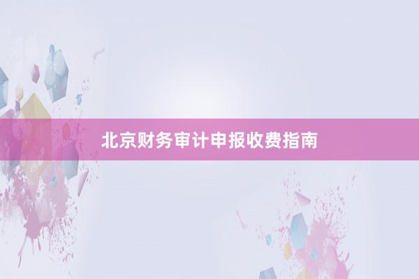 北京财务审计申报收费指南